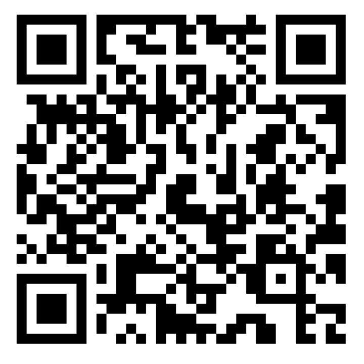 QR-Code Live-Stream Höchstädt